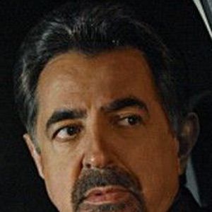 Bilder Joe Mantegna