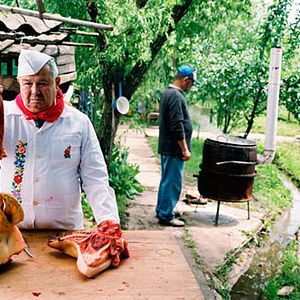 Bilder Péter Kerekes