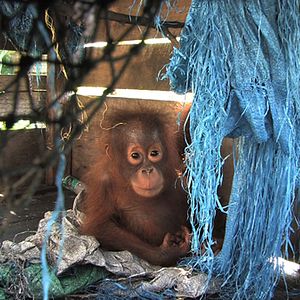 Bilder Patrick Rouxel