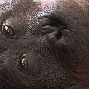 Bilder Patrick Rouxel