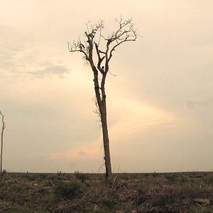 Bilder Patrick Rouxel