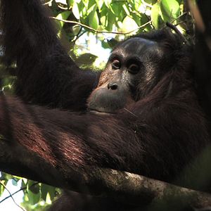 Bilder Patrick Rouxel