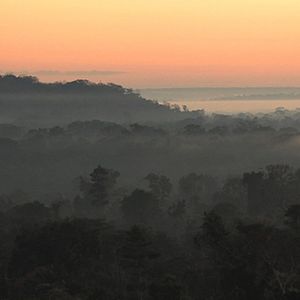 Bilder Patrick Rouxel