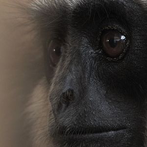 Bilder Patrick Rouxel