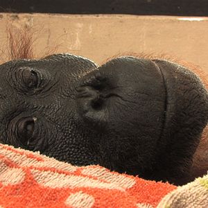 Bilder Patrick Rouxel