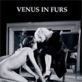 Bilder Venus im Pelz