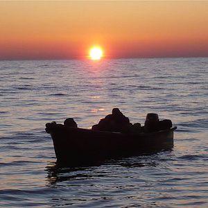 Bilder Merzak Allouache