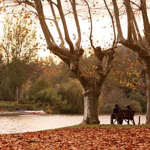 Bilder Philippe Guillard