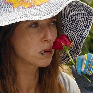 Bilder Julien Rambaldi