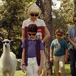 Bilder Julien Rambaldi