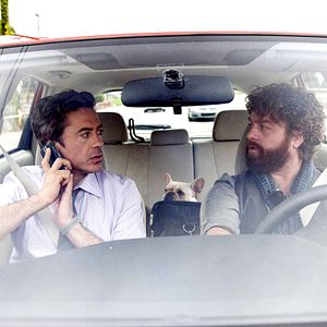 Bilder Robert Downey Jr.