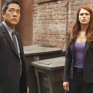 Bilder Amanda Righetti