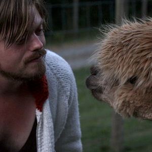 Bilder Linas Phillips