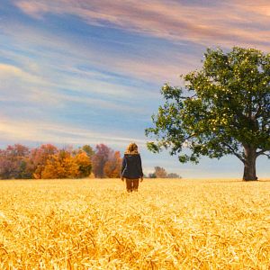 Bilder Saoirse Ronan