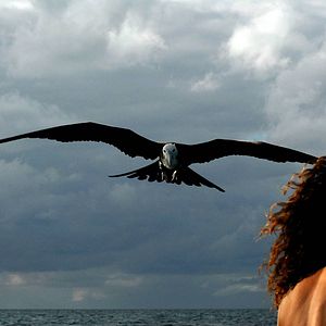 Bilder Pedro Gonzalez-Rubio