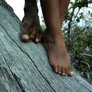 Bilder Pedro Gonzalez-Rubio