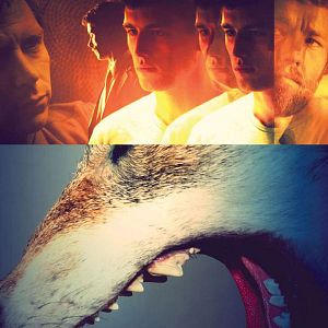 Bilder Königreich des Verbrechens