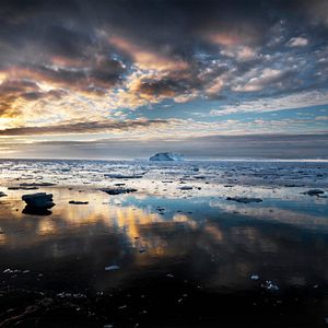 Bilder Jagdzeit - Den Walfängern auf der Spur