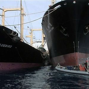 Bilder Jagdzeit - Den Walfängern auf der Spur