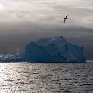 Bilder Jagdzeit - Den Walfängern auf der Spur