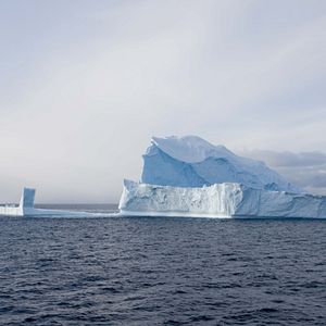 Bilder Jagdzeit - Den Walfängern auf der Spur