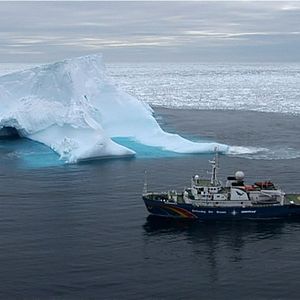 Bilder Jagdzeit - Den Walfängern auf der Spur