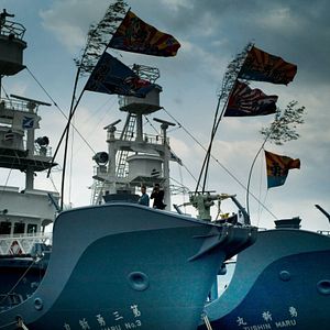 Bilder Jagdzeit - Den Walfängern auf der Spur