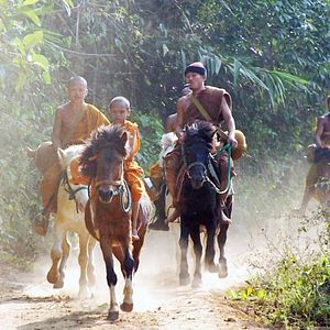 Bilder Buddha's Lost Children