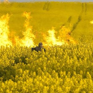 Bilder Kommissar Wallander