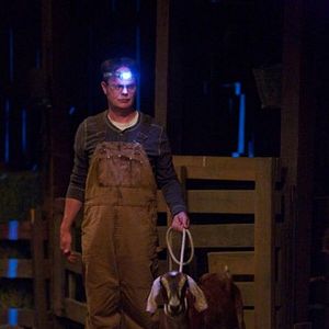 Bilder The Office (US)