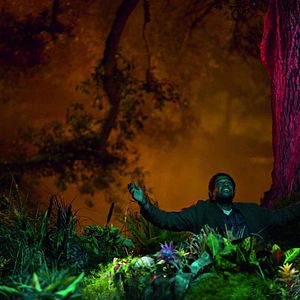 Bilder My Own Love Song