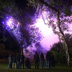 Bilder My Own Love Song