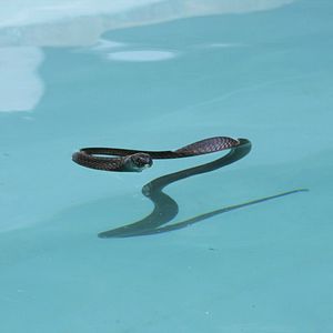 Bilder Die zwei Leben des Daniel Shore