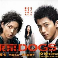 Bilder Tokyo Dogs