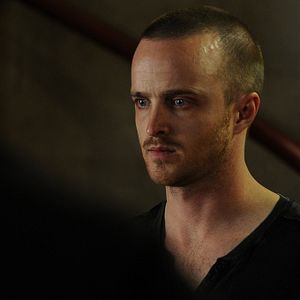 Bilder Aaron Paul