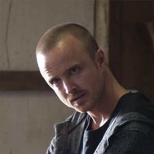 Bilder Aaron Paul