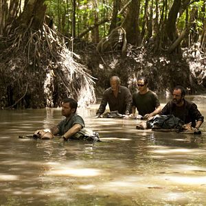 Bilder 600 Kilo pures Gold!