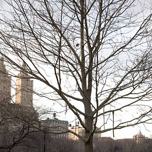 Bilder Anton Yelchin