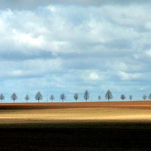 Bilder Bernard ni dieu ni chaussettes