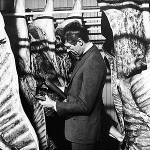 Bilder Immer wenn er Dollars roch