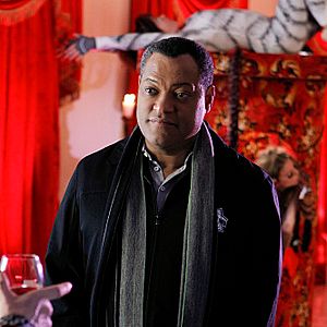 Bilder CSI: Den Tätern auf der Spur