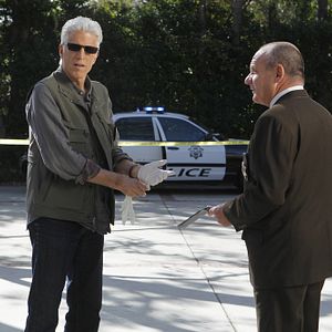 Bilder Ted Danson