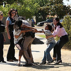 Bilder CSI: Den Tätern auf der Spur