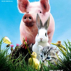 Bilder Die wilde Farm