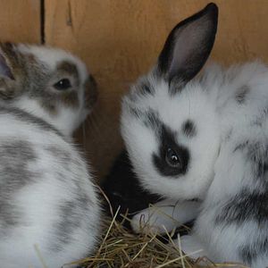 Bilder Frédéric Goupil