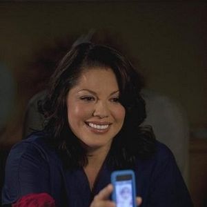 Bilder Sara Ramirez