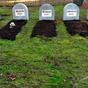 Bilder Ana Fernández García