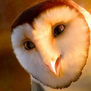 Bilder Die Legende der Wächter