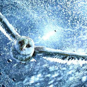 Bilder Die Legende der Wächter