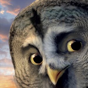 Bilder Die Legende der Wächter